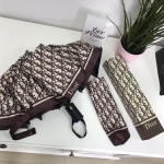 Зонт Christian Dior Артикул LUX-17528. Вид 2