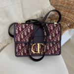 Сумка женская MONTAIGNE Christian Dior Артикул LUX-14673. Вид 2