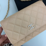 Сумка женская WOC Chanel Артикул LUX-16838. Вид 2