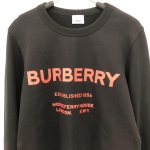Толстовка мужская  Burberry Артикул LUX-34791. Вид 3