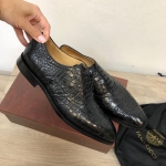  Туфли мужские Stefano Ricci Артикул LUX-35507. Вид 1