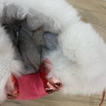 Шапка-ушанка   Артикул LUX-37484. Вид 4