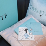 Комплект 2 подушки Tiffany&Co Артикул LUX-38140. Вид 5