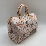  Сумка женская SPEEDY Louis Vuitton Артикул СЖ-595. Вид 2