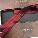 Галстук Stefano Ricci Артикул АКС-1389. Вид 2