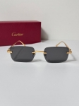 Очки Cartier Артикул LUX-119651. Вид 1