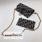 Клатч  Christian Dior Артикул СЖ-317. Вид 1