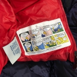 Комплект зимний Moncler Артикул LUX-16242. Вид 2