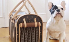  Сумка женская DOG CARRIER Louis Vuitton Артикул СЖ-593. Вид 4