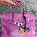  Сумка женская BIRKIN Croc  Hermes Артикул LUX-20863. Вид 2