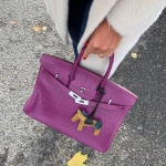  Сумка женская BIRKIN Croc  Hermes Артикул LUX-20863. Вид 1