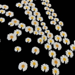 Футболка женская Louis Vuitton Артикул LUX-30499. Вид 2