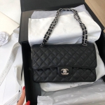 Сумка женская Chanel 25cm Chanel Артикул LUX-29883. Вид 1