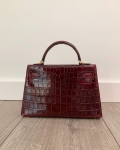 Сумка женская KELLY Croc 20  Hermes Артикул LUX-30305. Вид 3