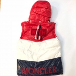 Жилет мужской Moncler Артикул ОДМ-165. Вид 2