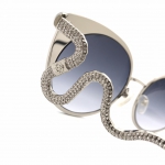 Очки Roberto Cavalli Артикул LUX-25431. Вид 4