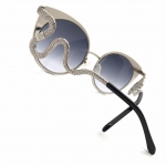 Очки Roberto Cavalli Артикул LUX-25431. Вид 2