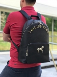 Рюкзак мужской Philipp Plein Артикул СМ-574. Вид 1