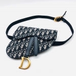 Поясная сумка Saddle Christian Dior Артикул LUX-10483. Вид 2