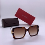 Очки Salvatore Ferragamo Артикул LUX-11943. Вид 1