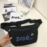 Поясная сумка Christian Dior Артикул LUX-12037. Вид 1