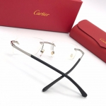 Оправа Cartier Артикул LUX-25210. Вид 3