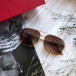 Очки Cartier Артикул LUX-19801. Вид 2