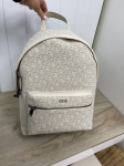 Рюкзак Christian Dior Артикул LUX-87524. Вид 1