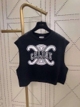 Топ Celine Артикул LUX-87561. Вид 1