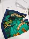 Платок  Celine Артикул LUX-88085. Вид 1