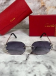 Очки мужские Cartier Артикул LUX-93617. Вид 1