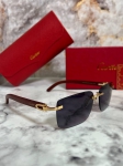 Очки мужские Cartier Артикул LUX-93616. Вид 2