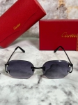Очки мужские Cartier Артикул LUX-93615. Вид 1