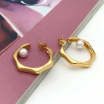 Серьги Celine Артикул LUX-93689. Вид 1
