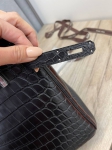 Сумка женская Birkin, 30 cm, PHW MATTE NILOTICUS Hermes Артикул LUX-97196. Вид 8