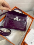 Сумка женская  Kelly mini, PHW NILOTICUS LISSE Hermes Артикул LUX-97523. Вид 2