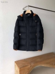Пуховик ZEGNA Артикул LUX-99806. Вид 1