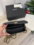 Сумка женская Chanel Артикул LUX-100198. Вид 5