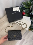 Сумка женская Chanel Артикул LUX-100197. Вид 1
