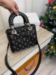 Сумка женская Christian Dior Артикул LUX-100201. Вид 4