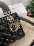 Сумка женская Christian Dior Артикул LUX-100201. Вид 6