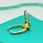 Серьги Tiffany&Co Артикул LUX-100825. Вид 1