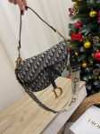 Сумка женская Saddle Christian Dior Артикул LUX-100886. Вид 6