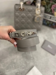Сумка женская 20 см Christian Dior Артикул LUX-101485. Вид 5