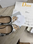 Туфли  Christian Dior Артикул LUX-101998. Вид 4