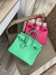 Сумка женская Birkin , 25 cm, PHW MATTE NILOTICUS Hermes Артикул LUX-106727. Вид 1