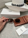 Очки Celine Артикул LUX-107051. Вид 2