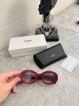 Очки Celine Артикул LUX-107145. Вид 2