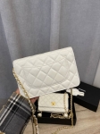 Сумка женская Chanel Артикул LUX-107213. Вид 4