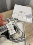 Платок  Christian Dior Артикул LUX-107227. Вид 4